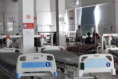 4 bệnh nhân nhập viện do ngộ độc nấm rừng