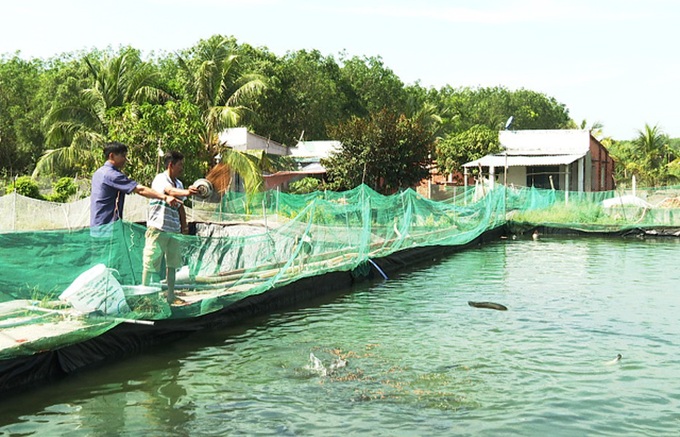 Tây Ninh: Thoát nghèo bền vững nhờ áp dụng những  mô hình hợp tác xã kiểu mới - Ảnh 1.