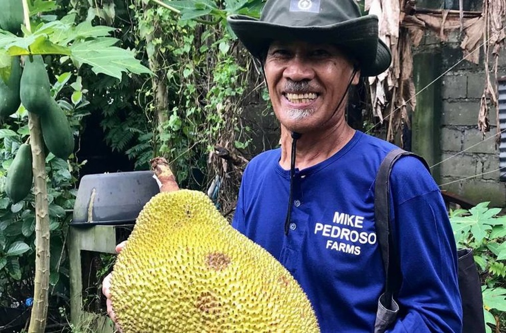Nghỉ hưu sớm, trở thành nông dân trồng mít kiếm bộn tiền - 1 Nghỉ hưu sớm, trở thành nông dân trồng mít kiếm bộn tiền - 1