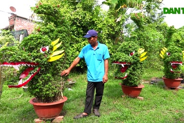 Nhà vườn tạo tác linh vật rồng đón Xuân bán tiền triệu mỗi chậu