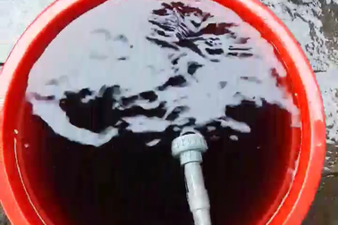 Nước sạch nhà máy màu đen như nước cống!