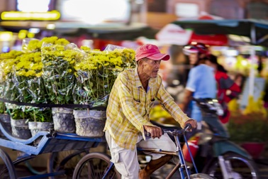 Chở hoa ngày Tết