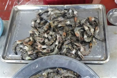 Tá hỏa với chất bột trắng chưa xác định trong tôm mua ở chợ