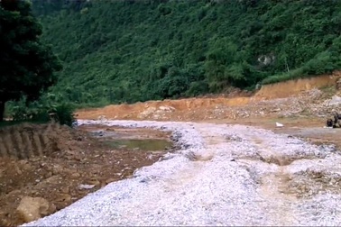 Khai thác đất rừng sản xuất trái phép