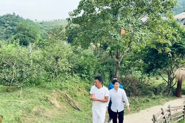 Việt Hoàn dẫn Trọng Tấn, Đăng Dương thăm khu nuôi động vật tại trang trại 10.000m2.