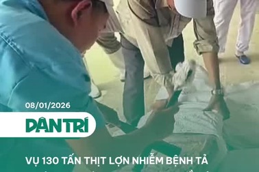 Vụ 130 tấn thịt lợn nhiễm bệnh tả châu Phi: Niêm phong 4 kho đồ hộp Hạ Long