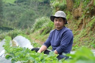 Nâng cao điều kiện sống, khả năng tiếp cận việc làm cho người nghèo