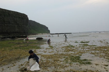 Nhọc nhằn rong mơ