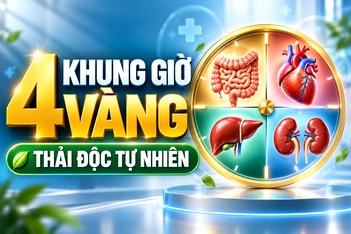 4 “khung giờ vàng” thải độc tự nhiên hỗ trợ nâng cao sức khỏe