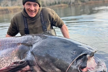 Đi câu cá chép, cần thủ bất ngờ bắt được "thủy quái" cá da trơn nặng 100kg