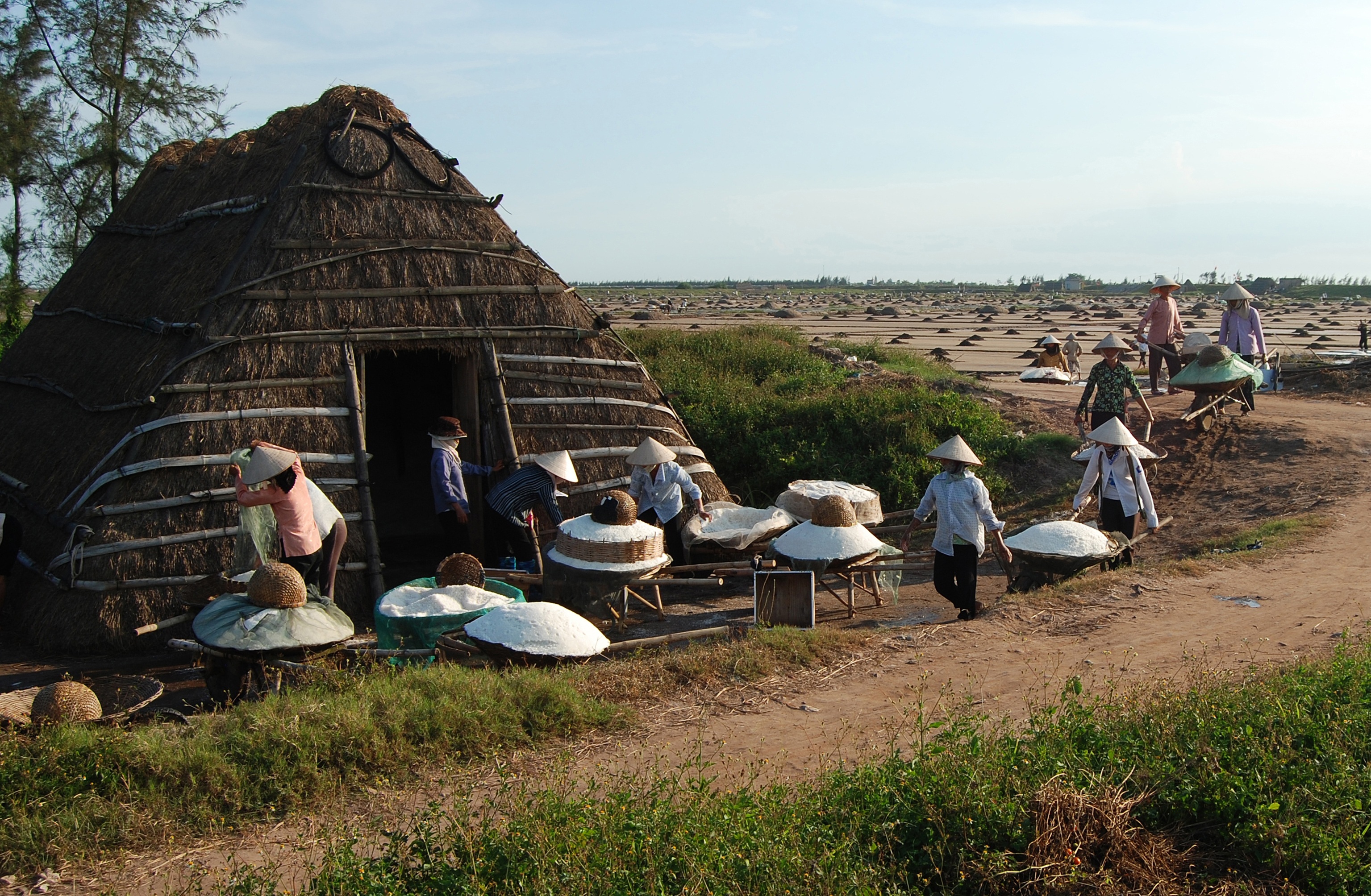 Nắng về