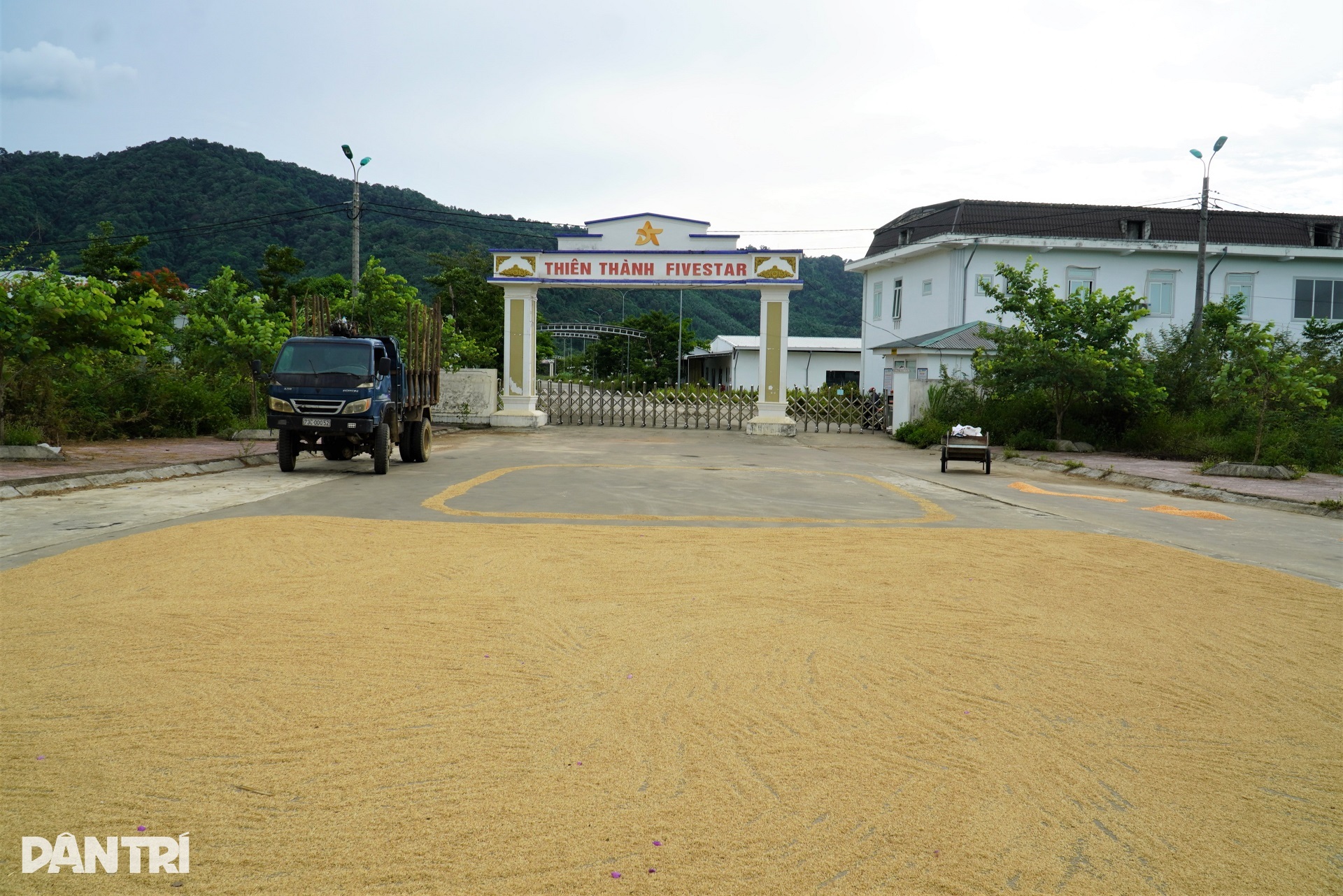 Doanh nghiệp cuối cùng tạm dừng hoạt động, KCN ở Hà Tĩnh lâm cảnh đìu hiu - 2 Doanh nghiệp cuối cùng tạm dừng hoạt động, KCN ở Hà Tĩnh lâm cảnh đìu hiu - 2