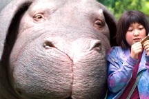 Tranh cãi xoay quanh phim Hàn Quốc dự tranh Cành Cọ Vàng