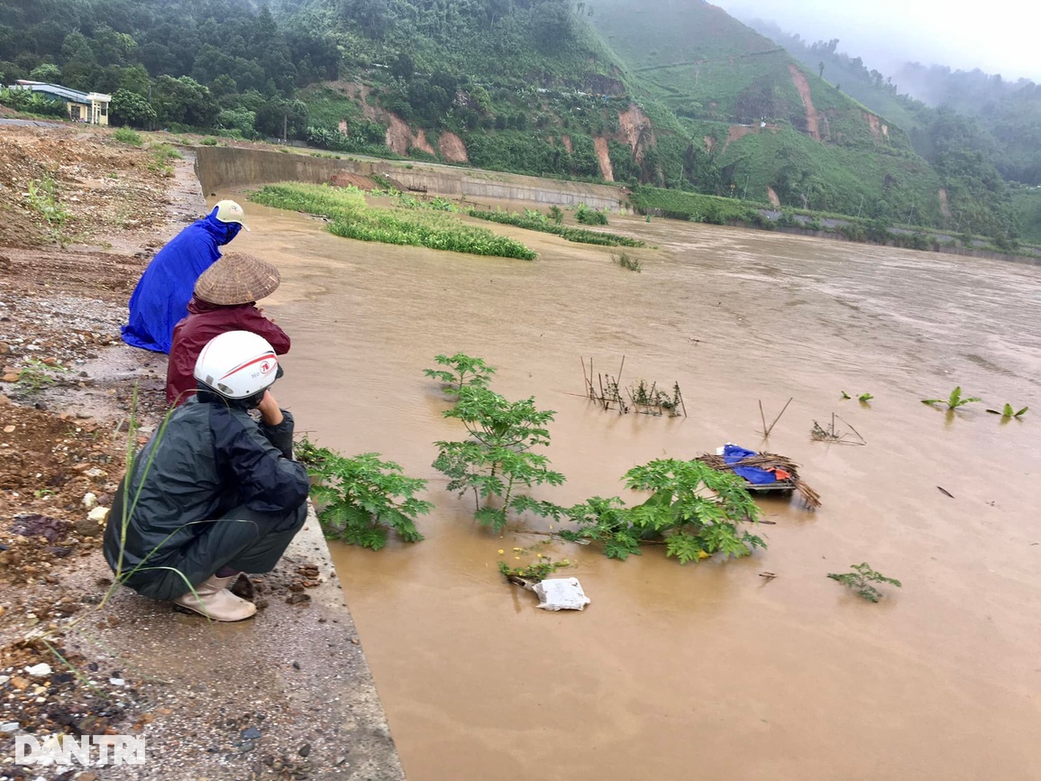 Lũ lớn trên thượng nguồn sông Hồng nhấn chìm nhiều cây trái, hoa màu - 3 Lũ lớn trên thượng nguồn sông Hồng nhấn chìm nhiều cây trái, hoa màu - 3