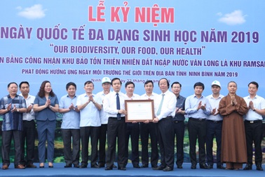 “Vịnh không sóng” Vân Long trở thành khu Ramsar của thế giới