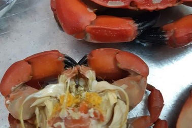 Ăn như cua hoàng đế, cả cân chưa được 1 lạng thịt chị em vẫn tranh mua