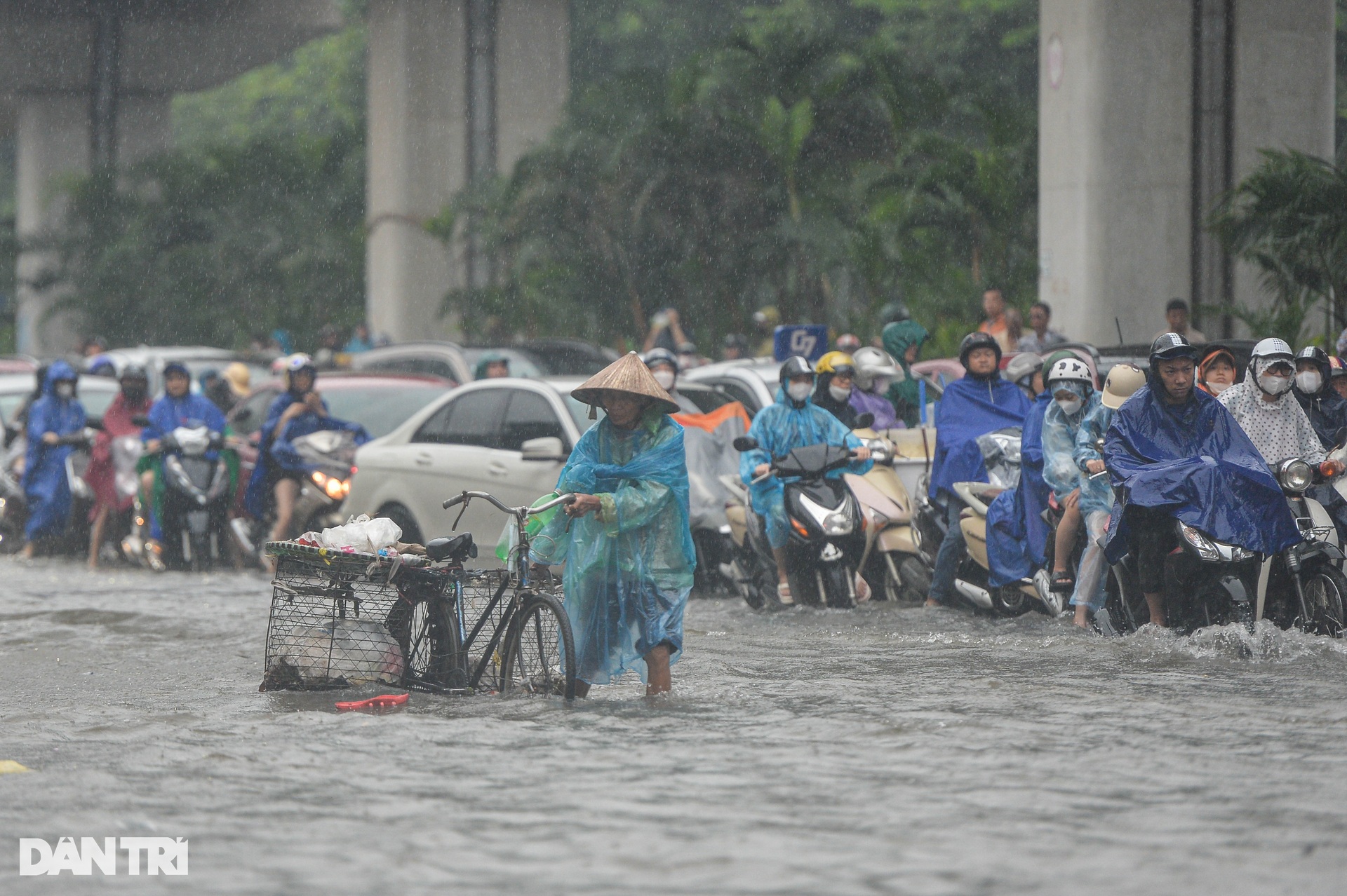 Một buổi sáng tê liệt ở Hà Nội - 5