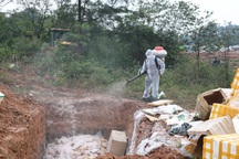 Tiêu hủy hơn 2,3 tấn sản phẩm động vật không rõ nguồn gốc