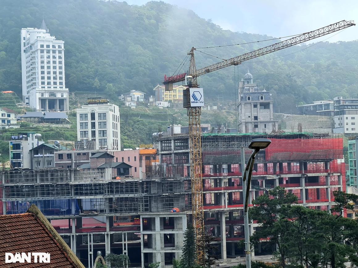 Cận cảnh rừng bê tông ở khu du lịch Tam Đảo - 6