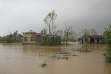 Thương lắm miền Trung