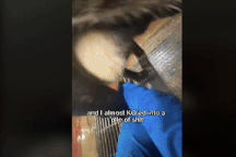 Mất định hướng nghề nghiệp, chàng trai Gen Z ra nước ngoài chăn bò