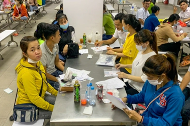 Trốn đóng bảo hiểm, doanh nghiệp có thể bị phạt lên đến hàng tỉ đồng