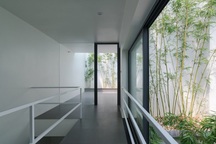 Trồng tre ngay giữa nhà, ngôi nhà Bắc Ninh gây ấn tượng mạnh bởi thiết kế độc đáo