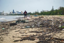 Bờ biển Đà Nẵng xuất hiện vệt đen và ngập rác sau mưa lớn