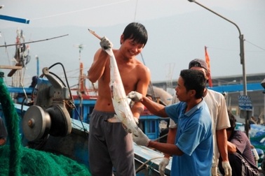 Dân vùng biển, phải bám biển mà sống