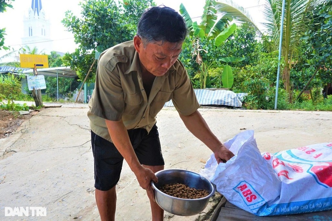 Đàn cá hàng nghìn con đua nhau kéo đến tá túc ở bến đò xin ăn - 3 Đàn cá hàng nghìn con đua nhau kéo đến tá túc ở bến đò xin ăn - 3