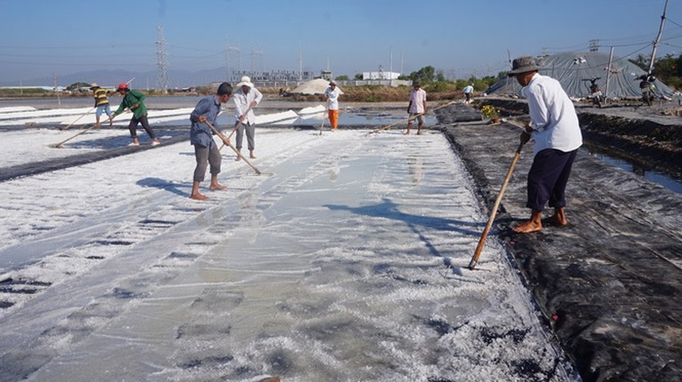 Cận cảnh nghề gieo nước biển đầu năm ở phương Nam - 3 Cận cảnh nghề gieo nước biển đầu năm ở phương Nam - 3