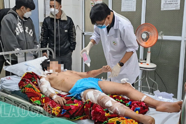 Vụ nam sinh bị chó cắn trọng thương: Phạt chủ chó 1,5 triệu đồng