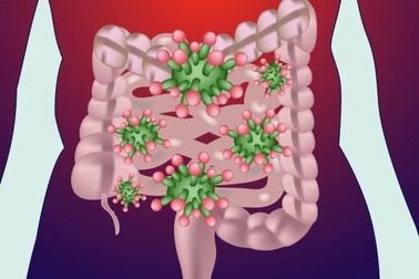 Vi khuẩn đường ruột khác biệt ở trẻ em béo phì