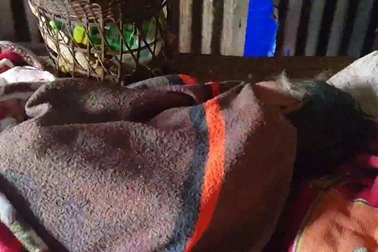 Bà cụ sống côi cút một mình