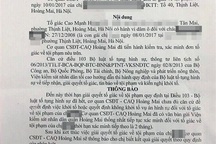 Phó Thủ tướng yêu cầu Hà Nội làm rõ vụ bé gái 8 tuổi bị xâm hại