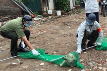 Hà Nội yêu cầu tăng cường đội bắt chó thả rông