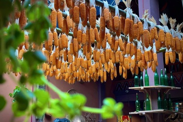 Cô gái Nùng mở quán cà phê, giới thiệu bản sắc dân tộc tới người dân Thủ đô