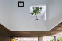 "Nhà trên mây” giữa lòng Sài Gòn với các khu vườn lơ lửng độc lạ