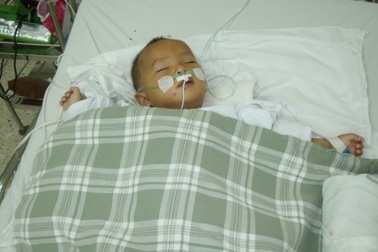 Vụ hai chị em bị ong đốt: Bé Đạt may mắn qua cơn nguy kịch!