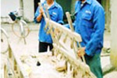 Giấc mơ của hai anh em mồ côi 