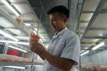 Từ kỹ thuật viên đến ông chủ cơ sở dược liệu quý hiếm