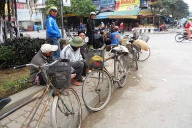 “Sắp Tết rồi, phải cố kiếm tiền mua cân thịt…”  