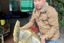 Bỏ gần chục triệu mua rùa quý hiếm để thả lại về biển