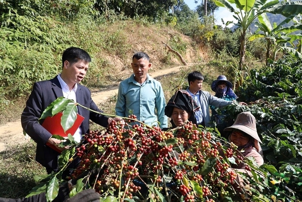 Sơn La: Đào tạo nghề góp phần giảm nghèo bền vững - 1 Sơn La: Đào tạo nghề góp phần giảm nghèo bền vững - 1