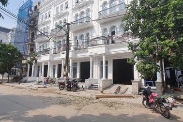 Chưa tìm được đối tượng chặt trộm cây xanh trong đêm ở Hà Nội