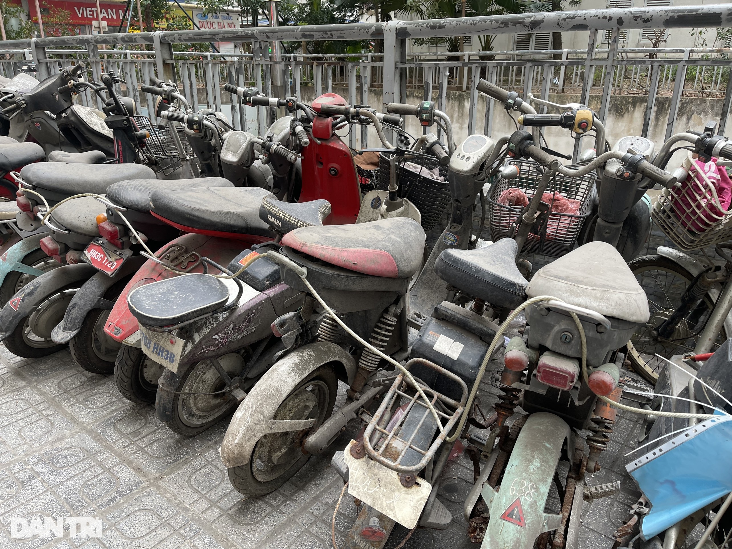 Thực hư thông tin hàng trăm xe máy cũ ở Linh Đàm được đưa đi từ thiện - 5