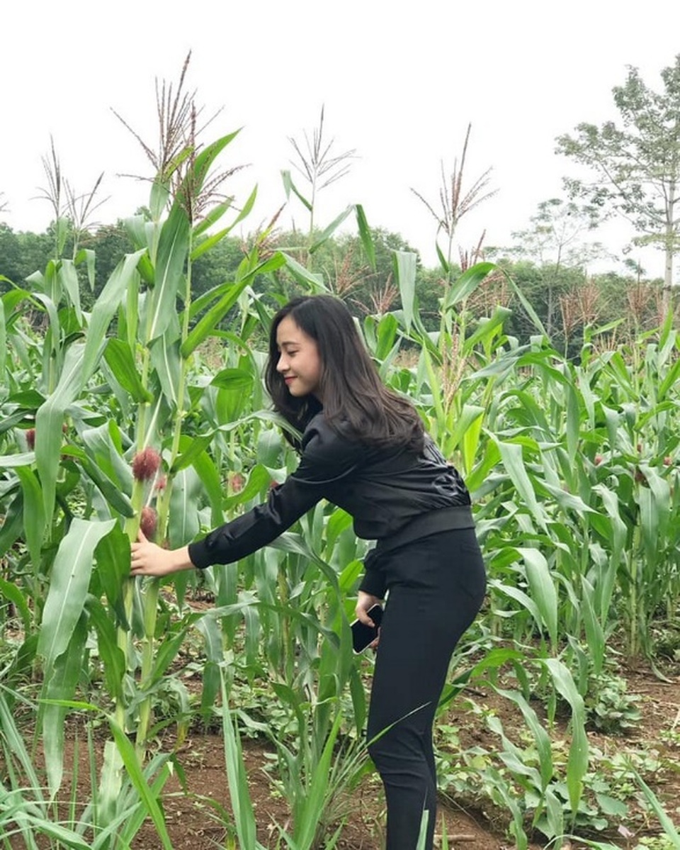 Thiếu nữ xứ Nghệ bất ngờ được dân mạng quan tâm vì nhan sắc khả ái - 4 Thiếu nữ xứ Nghệ bất ngờ được dân mạng quan tâm vì nhan sắc khả ái - 4