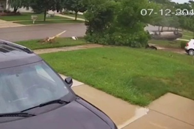 Clip ô tô đâm đổ cây, lộn nhào một vòng do mất lái