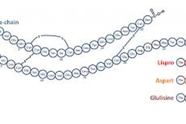 Điều trị đái tháo đường thành công là nhờ công nghệ biến đổi gen