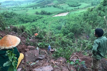 Cư dân làng Dừa bàng hoàng kể chuyện đi tìm phi công và máy bay rơi